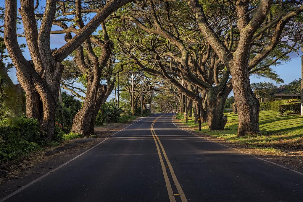 The Historic Wailuku Inn Maui Ngoại thất bức ảnh